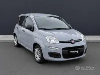 Usata Fiat Panda Connect 70 CV (51 kW) 2020 Grigio Utilitaria