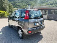Usata Fiat Panda Easy 69 CV (50 kW) 2020 Grigio Utilitaria