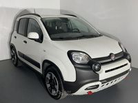 Usata Fiat Panda Cross Cross 70 CV (51 kW) 2024 Bianco Utilitaria