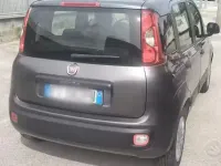 Usata Fiat Panda Easy 69 CV (50 kW) 2019 Grigio Utilitaria