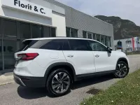 Usata Skoda Kodiaq Executive 150 CV (110 kW) 2024 Bianco luna metallizzato SUV