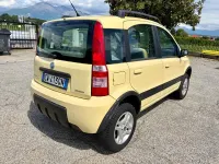 Usata Fiat Panda 4x4 Climbing 60 CV (44 kW) 2005 Giallo Utilitaria