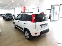 Usata Fiat Panda S 69 CV (50 kW) 2023 Bianco Utilitaria