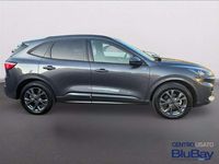 Usata Ford Kuga ST-Line 224 CV (164 kW) 2023 Grigio SUV