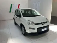 Usata Fiat Panda S 69 CV (50 kW) 2023 Bianco Utilitaria