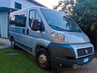 usata Fiat Ducato Panorama 9 posti 2.3 120cv