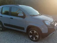 Usata Fiat Panda Cross Cross 69 CV (50 kW) 2021 Grigio Utilitaria