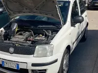 Usata Fiat Panda 77 CV (56 kW) 2012 Utilitaria