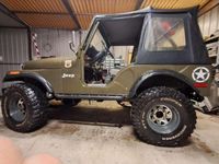 Usata Jeep Renegade 177 CV (130 kW) 1975 SUV