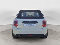 Usata Mini Cooper D Cabriolet 116 CV (85 kW) 2019 Beige Cabrio