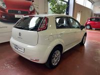 usata Fiat Punto 5 Porte 1.4 Lounge