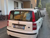 Usata Fiat Panda Dynamic 75 CV (55 kW) 2011 Bianco Utilitaria