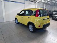 Nuova Fiat Panda Pop 69 CV (50 kW) 2026 Bianco gelato / vari colori Utilitaria