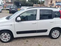 Usata Fiat Panda Lounge 69 CV (50 kW) 2018 Bianco Utilitaria