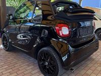 Usata Smart ForTwo Cabrio Prime 90 CV (66 kW) 2016 Cabrio