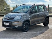 Usata Fiat Panda Cross Cross 85 CV (62 kW) 2020 Grigio Utilitaria
