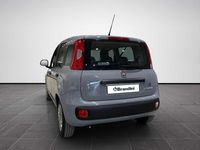 Usata Fiat Panda S 70 CV (51 kW) 2021 Grigio Utilitaria
