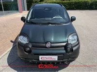 Nuova Fiat Panda Cross Cross 65 CV (47 kW) 2026 Verde foresta Utilitaria