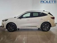 Usata Ford Kuga 2026 Bianco SUV