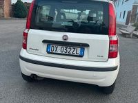 Usata Fiat Panda Dynamic 60 CV (44 kW) 2008 Bianco Utilitaria