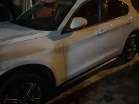 Usata Alfa Romeo Stelvio Business 209 CV (153 kW) 2018 SUV