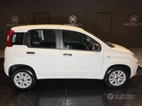 Usata Fiat Panda Easy 84 CV (61 kW) 2020 Bianco Berlina