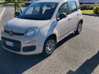 usata Fiat Panda 1.200 5 posti