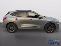 Usata Ford Kuga ST-Line X 225 CV (165 kW) 2023 Grigio SUV