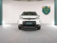 Usata Fiat Panda Cross Cross 86 CV (63 kW) 2019 Bianco Utilitaria