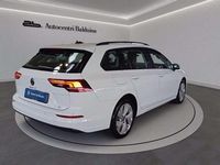 Usata VW Golf VIII Life 116 CV (85 kW) 2024 Bianco puro Station wagon