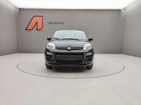 Nuova Fiat Panda 69 CV (50 kW) 2025 Nero Utilitaria