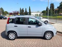 Usata Fiat Panda 69 CV (50 kW) 2021 Grigio Utilitaria