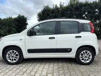 Usata Fiat Panda Lounge 69 CV (50 kW) 2019 Bianco Utilitaria