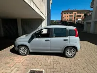 Usata Fiat Panda Easy 69 CV (50 kW) 2017 Grigio Utilitaria