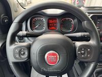 Usata Fiat Panda Cross Cross 69 CV (50 kW) 2023 Grigio Utilitaria