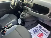 Usata Fiat Panda 75 CV (55 kW) 2018 Utilitaria