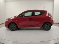 usata Lancia Ypsilon 1.2 69 CV 5 porte GPL Ecochic Gold