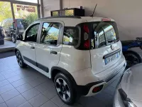 Usata Fiat Panda Cross Cross 69 CV (50 kW) 2020 Bianco Utilitaria