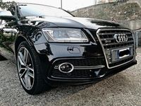 usata Audi SQ5 SQ5 3.0 V6 TDI plus Biturbo quattro tiptronic Business