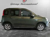 Usata Fiat Panda 4x4 S 95 CV (69 kW) 2016 Verde Utilitaria