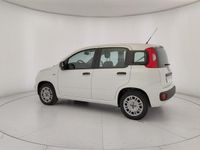 usata Fiat Panda 1.2 Easy