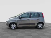Usata Fiat Panda 69 CV (50 kW) 2022 Grigio maestro Utilitaria