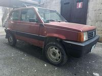 Usata Fiat Panda 4x4 Trekking 54 CV (39 kW) 2002 Rosso Utilitaria