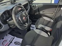 Usata Fiat Panda City Life 69 CV (50 kW) 2022 Bianco Utilitaria