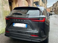 Usata Lexus NX350h 190 CV (139 kW) 2025 SUV