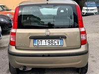 Usata Fiat Panda Dynamic 60 CV (44 kW) 2009 Beige Utilitaria