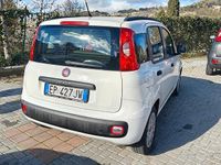 Usata Fiat Panda Easy 69 CV (50 kW) 2013 Bianco Berlina