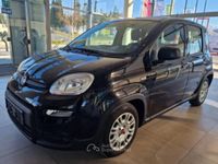 Usata Fiat Panda S 69 CV (50 kW) 2023 Nero Utilitaria