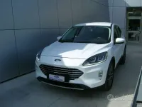 Usata Ford Kuga Titanium 224 CV (164 kW) 2020 Frozen white SUV