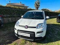 Usata Fiat Panda City Life 70 CV (51 kW) 2022 Bianco Utilitaria